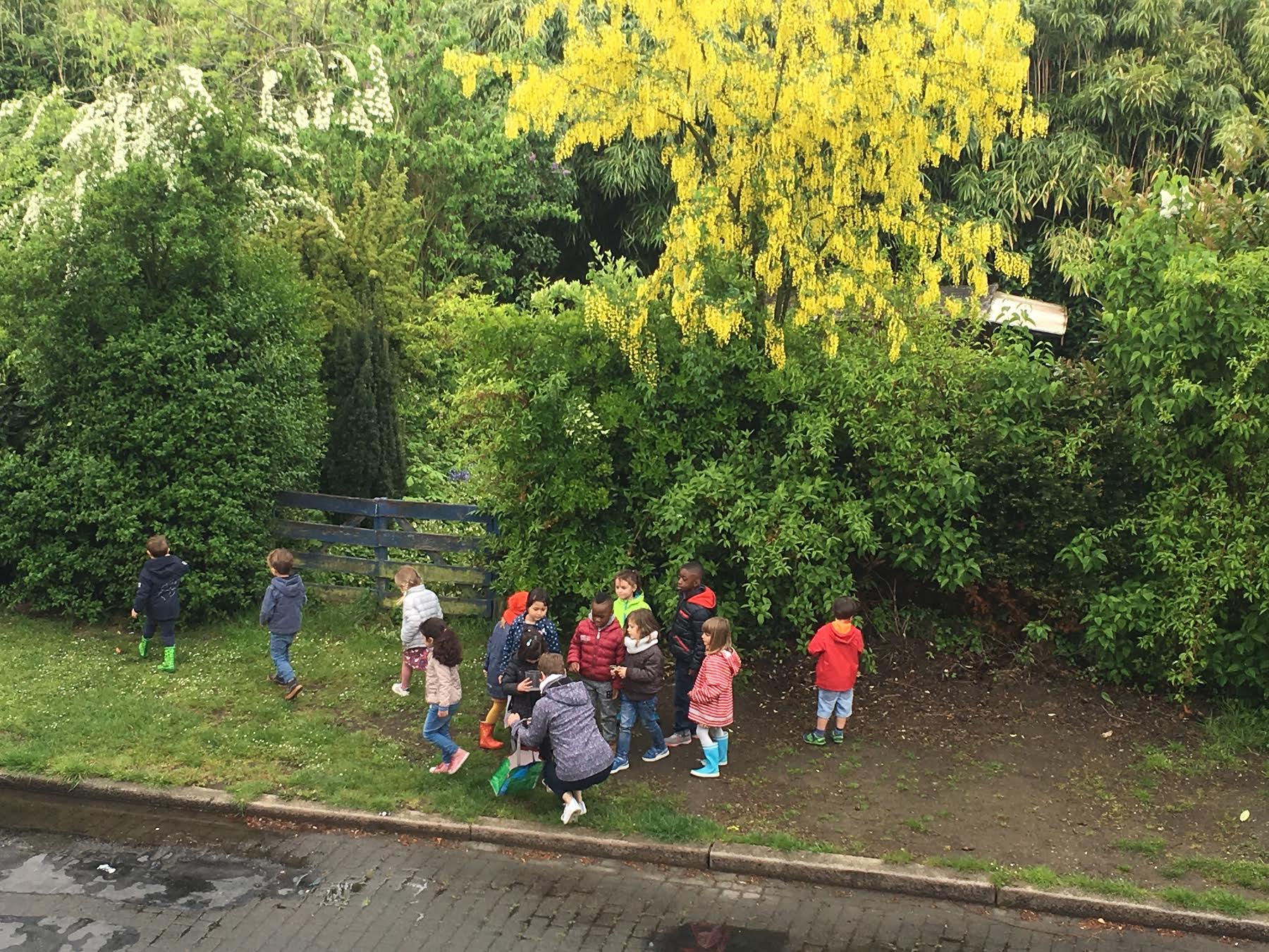 Een klasje op zoek naar fauna en flora in de groene berm. Moeten de kinderen dit binnenkort ook missen?